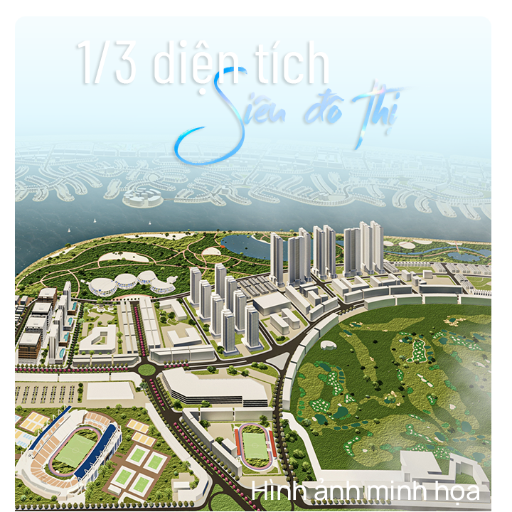 1_3 diện tích