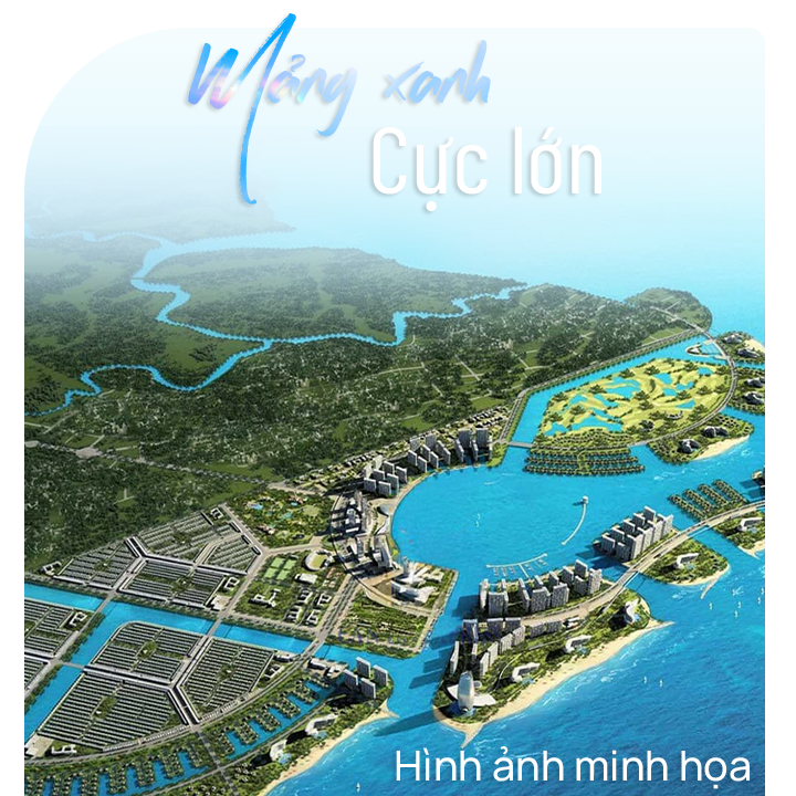 mảng xanh lớn-Sep-18-2025-07-09-39-8421-AM